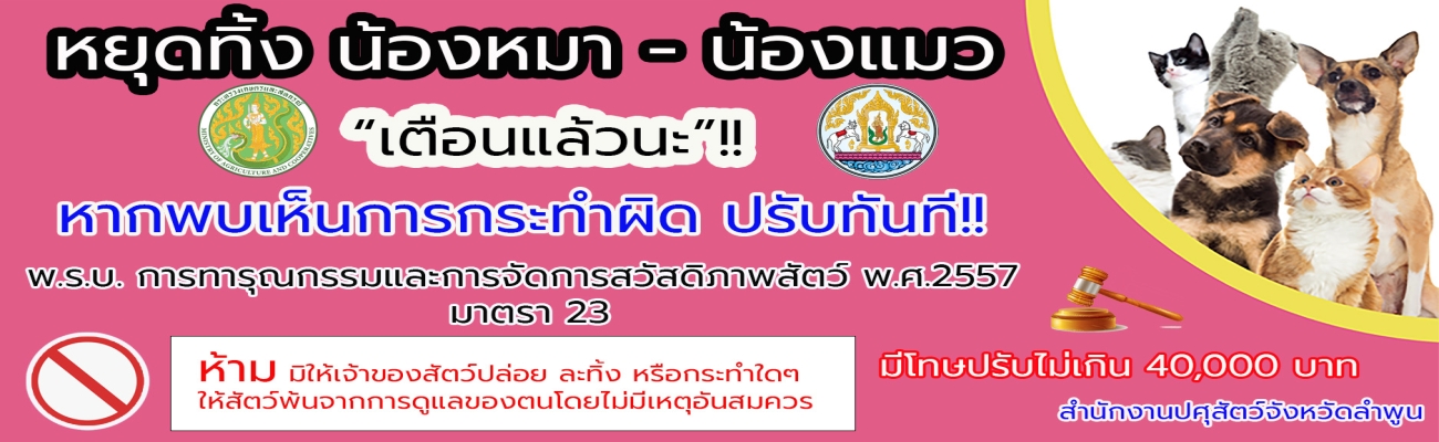 หยุดทิ้ง น้องหมา - น้องแมว