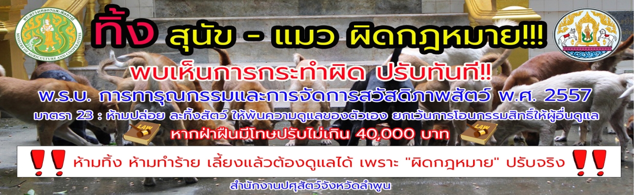 ทิ้ง สุนัข - แมว ผิดกฎหมาย!!!