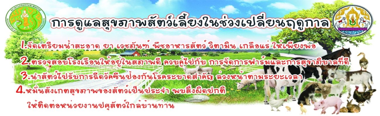 การดูแลสุขภาพสัตว์เลี้ยงในช่วงเปลี่ยนฤดูกาล