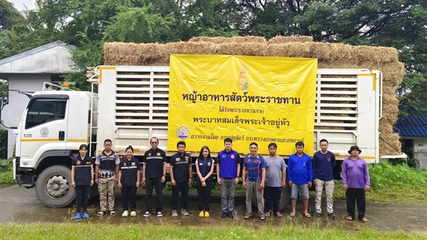 576577629 1278876330946636 7102753477376491136 n