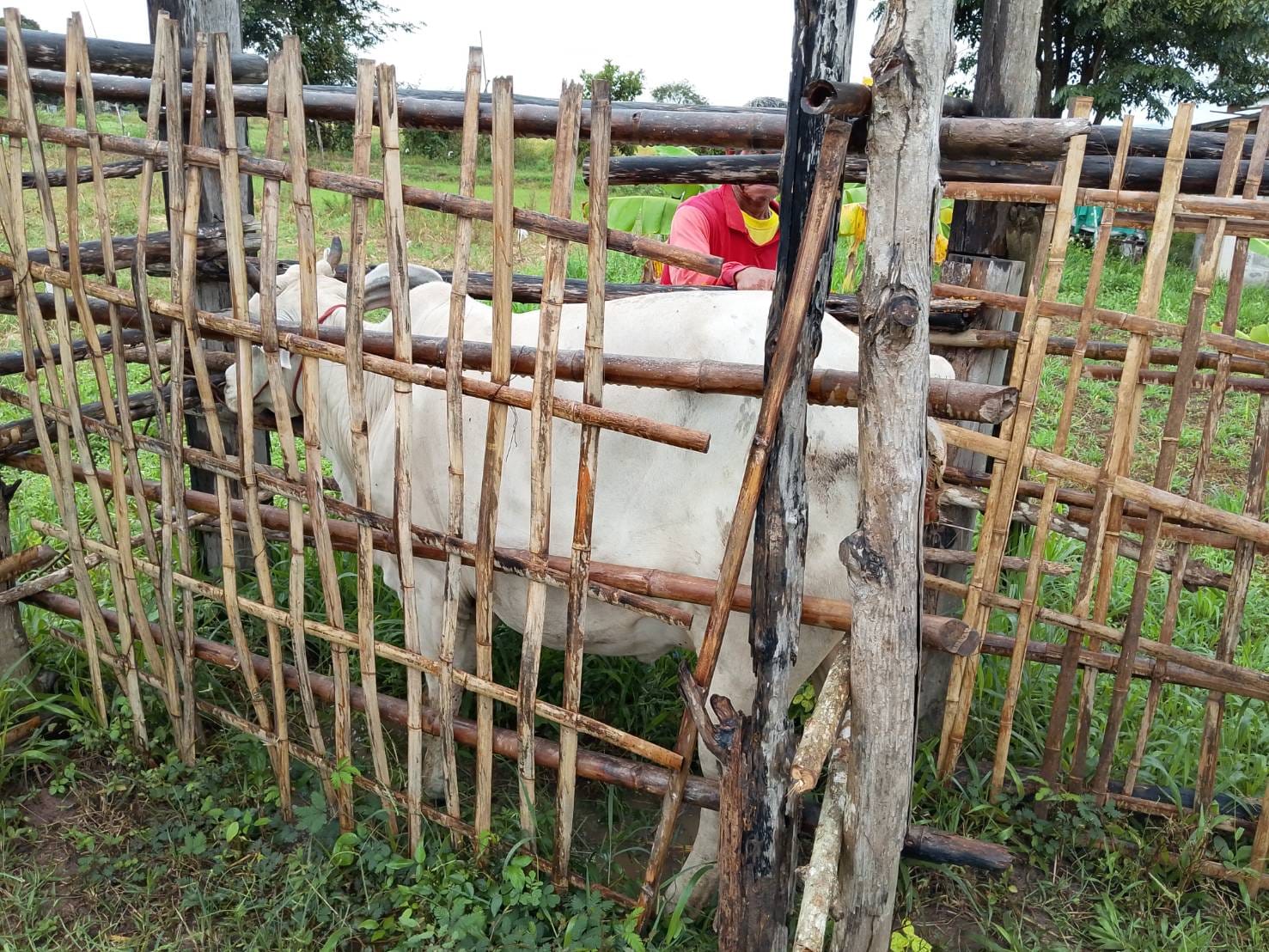 583321855 1443780634424057 8010792302392488798 n