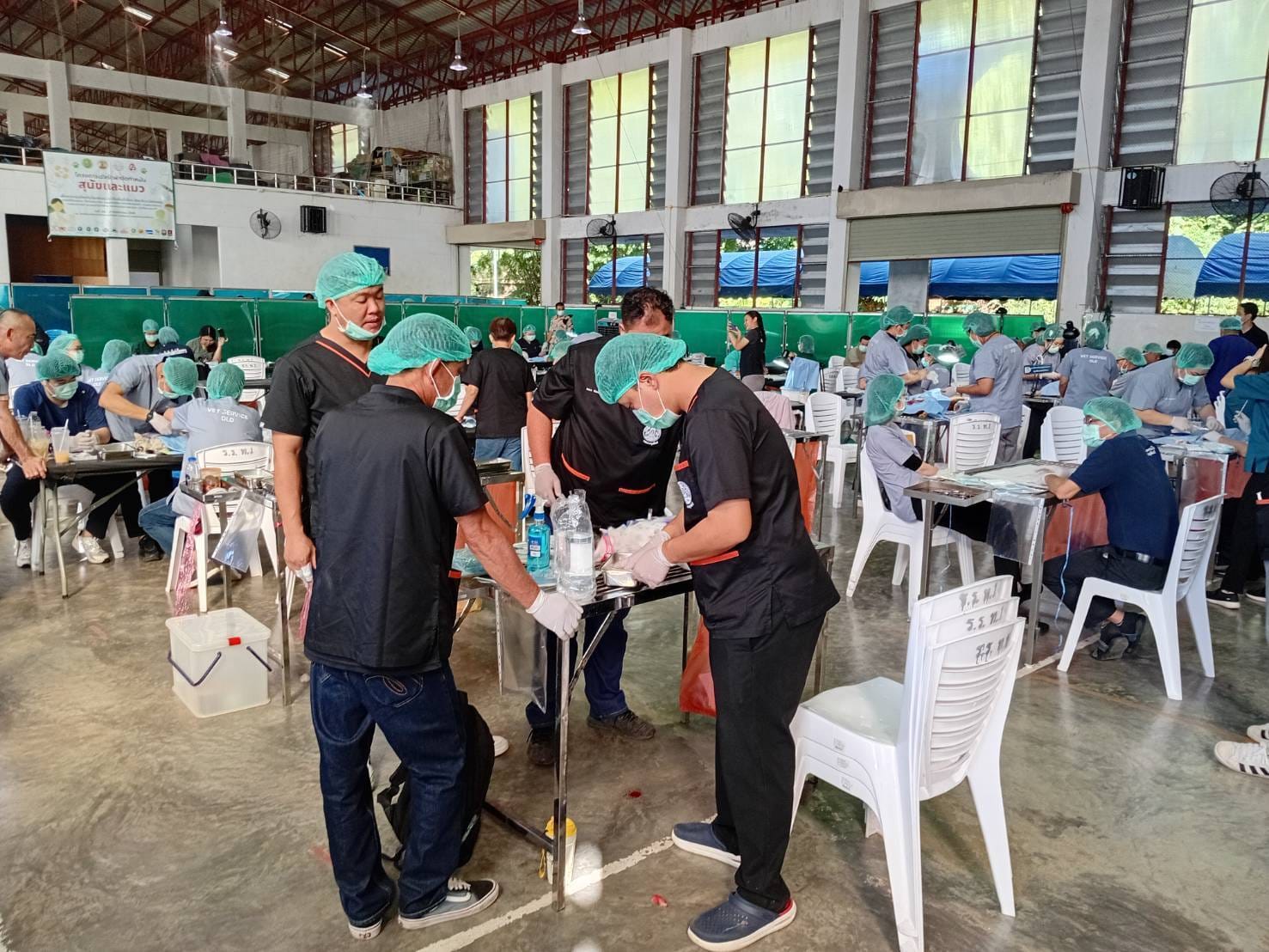 586611504 1449868817148572 3884066335398869088 n