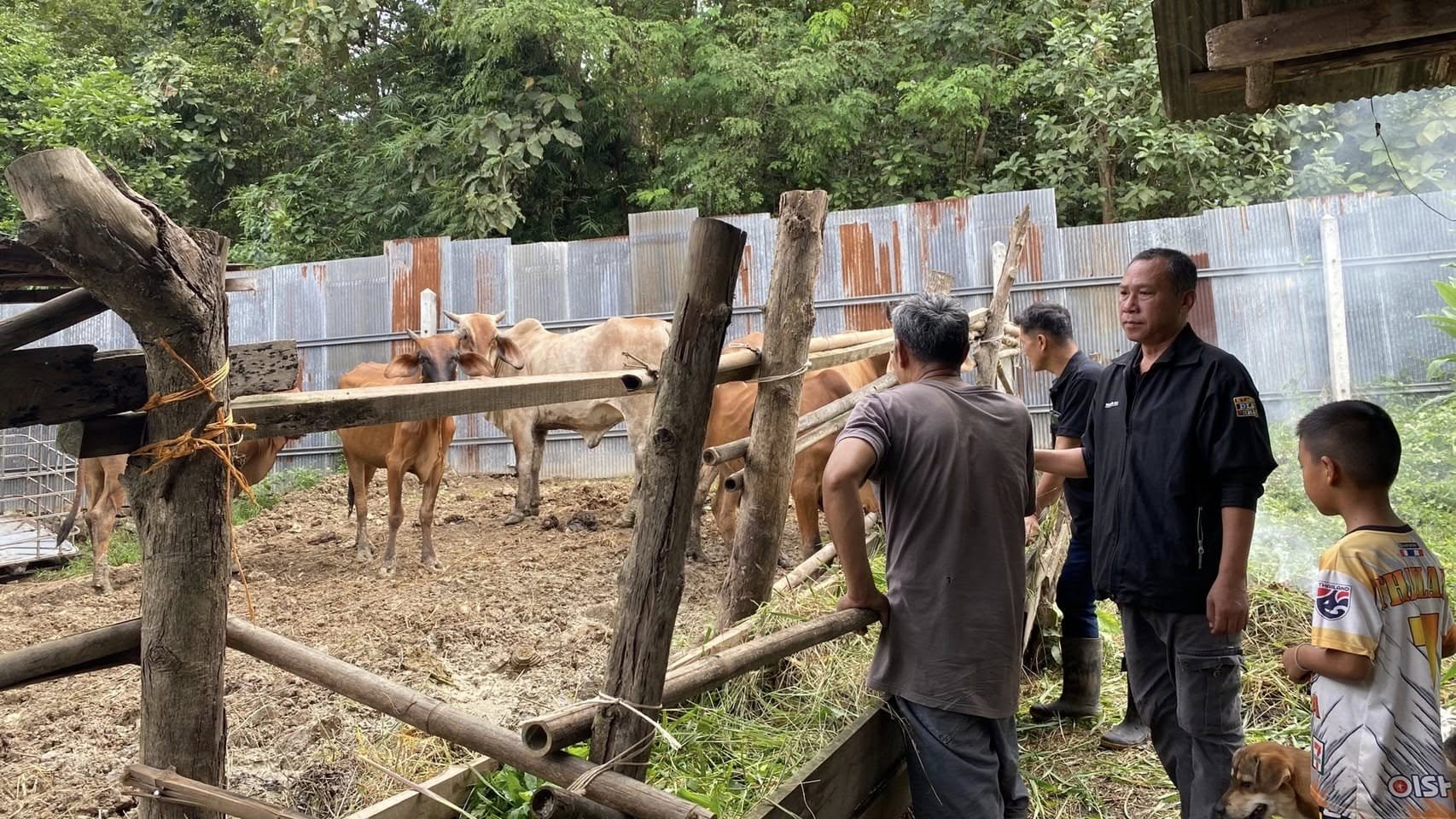 588235639 1449861240482663 4046296962604461602 n