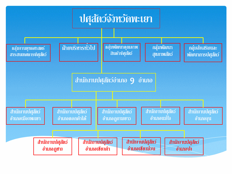 Organizational structure
