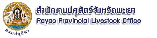 logo pyu