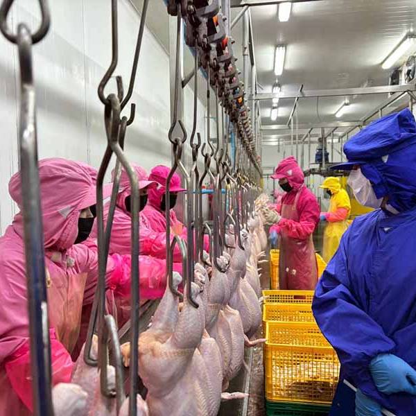 ตรวจติดตามโรงฆ่าสัตว์ ตามพระราชบัญญัติควบคุมการฆ่าสัตว์เพื่อการจำหน่ายเนื้อสัตว์ พ.ศ. 2559 และกฎกระทรวงที่เกี่ยวข้อง