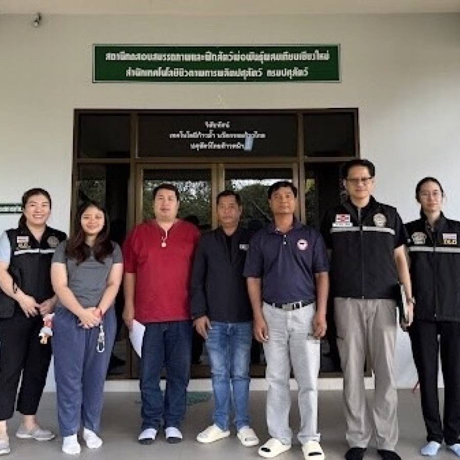 ปศุสัตว์เขต 5 ต่ออายุฟาร์มโคเนื้อ สถานีทดสอบสมรรถภาพและฝึกสัตว์พ่อพันธุ์ผสมเทียมเชียงใหม่ เป็นฟาร์มปลอดโรคบรูเซลลา โรควัณโรค และโรคพาราทูเบอร์คูโลซิส ระดับ A