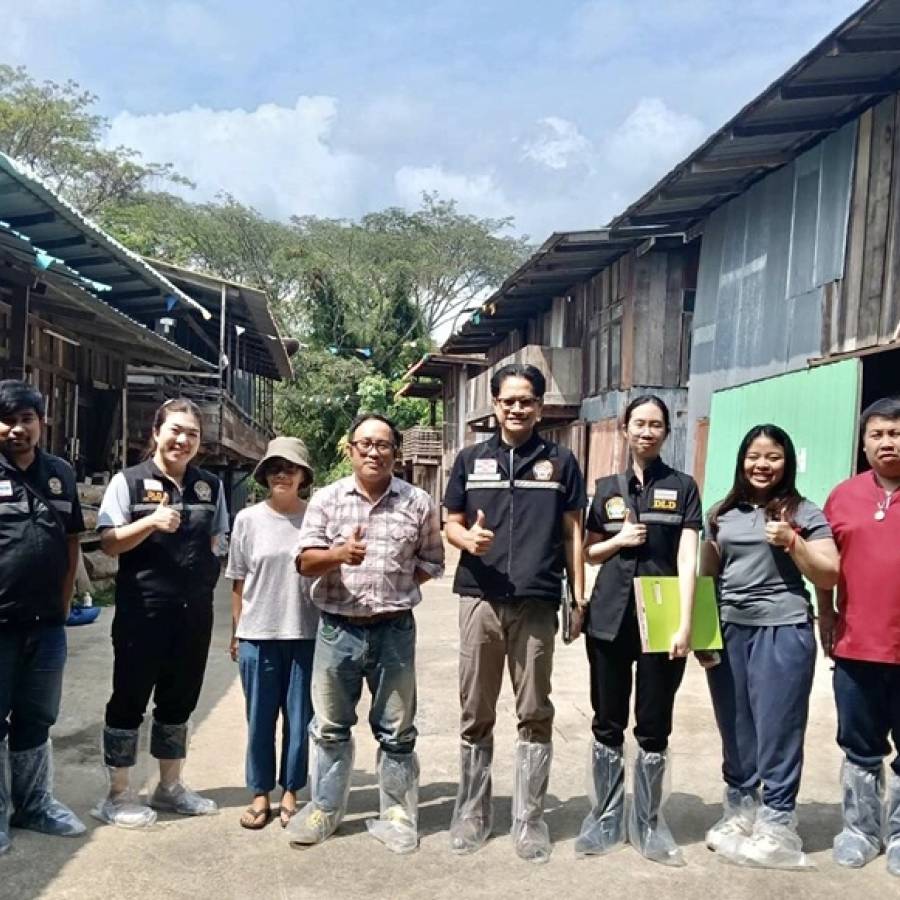 ปศุสัตว์เขต 5 ต่ออายุการรับรองฟาร์มแพะแกะ ปลอดโรคบรูเซลลา ระดับ A ให้กับ KST FARM มุ่งสร้างแหล่งกระจายพันธุ์ เสริมความเชื่อมั่นผู้บริโภค