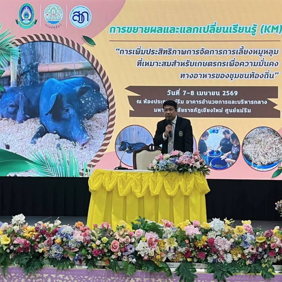 เชียงใหม่รับรองฟาร์มหมูหลุมมาตรฐานแห่งแรก! มรภ.เชียงใหม่ จับมือ ปศุสัตว์เขต 5 ยกระดับการเลี้ยงหมูหลุมแบบยั่งยืน มุ่งสร้างความมั่นคงทางอาหาร