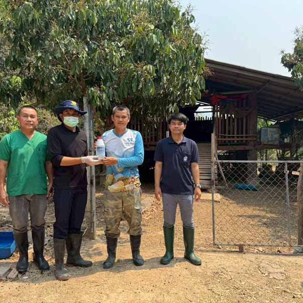 กิจกรรมสำรวจความชุกโรคบรูเซลลาในแพะแกะ ประจำปีงบประมาณ 2569