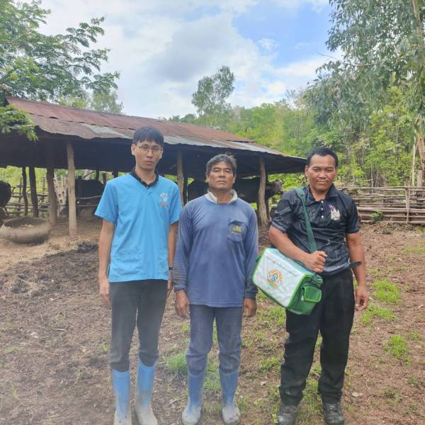 สำนักงานปศุสัตว์อำเภอจุน จังหวัดพะเยา ดำเนินการรณรงค์ฉีดวัคซีนป้องกันโรคระบาดในโค-กระบือ เพื่อสร้างภูมิคุ้มกันและให้ความรู้แก่เกษตรกร