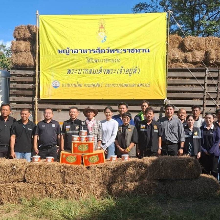 ปศุสัตว์เขต 5 ลงพื้นที่ติดตามงานศูนย์วิจัยและพัฒนาอาหารสัตว์แพร่และเยี่ยมชมฟาร์มควายไทย อ.เวียงสา จ.น่าน
