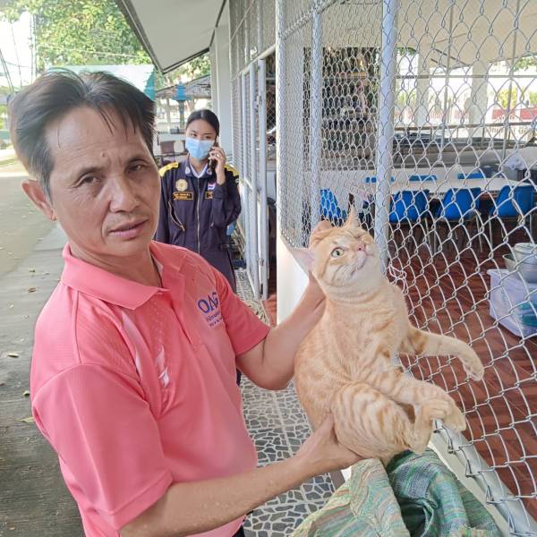 สำนักงานปศุสัตว์อำเภอเชียงคำ จังหวัดพะเยา เข้าตรวจสอบกรณีแจ้งเหตุแมวจรถูกทำร้าย