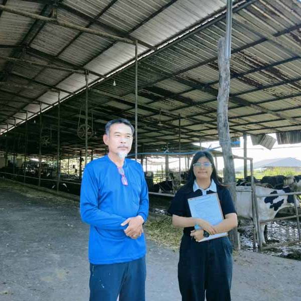 สำนักงานปศุสัตว์อำเภอบ้านโฮ่งตรวจติดตามฟาร์มโคนมที่เข้าร่วมโครงการส่งเสริมระบบบำบัดน้ำเสียในฟาร์มโคนม