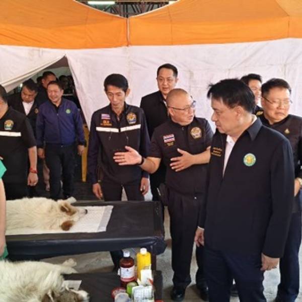 ปศจ.เชียงใหม่ดำเนินกิจกรรมผ่าตัดทำหมันสุนัข-แมว ภายใต้โครงการปศุสัตว์ร่วมใจกำจัดภัยโรคพิษสุนัขบ้า เพื่อเฉลิมพระเกียรติศาสตราจารย์ ดร.สมเด็จเจ้าฟ้าฯ กรมพระศรีสวางควัฒน วรขัตติยราชนารี ภายใต้โครงการสัตว์ปลอดโรค คนปลอดภัยจากโรคพิษสุนัขบ้า ตามพระปณิธานฯ ปีงบป