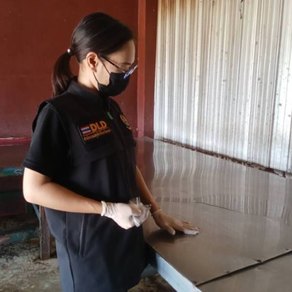 สำนักงานปศุสัตว์อำเภอหนองม่วงไข่ ลงพื้นที่เก็บตัวอย่างพื้นผิว (Surface Swab) โรงฆ่าสุกร ในพื้นที่อำเภอหนองม่วงไข่ จังหวัดแพร่