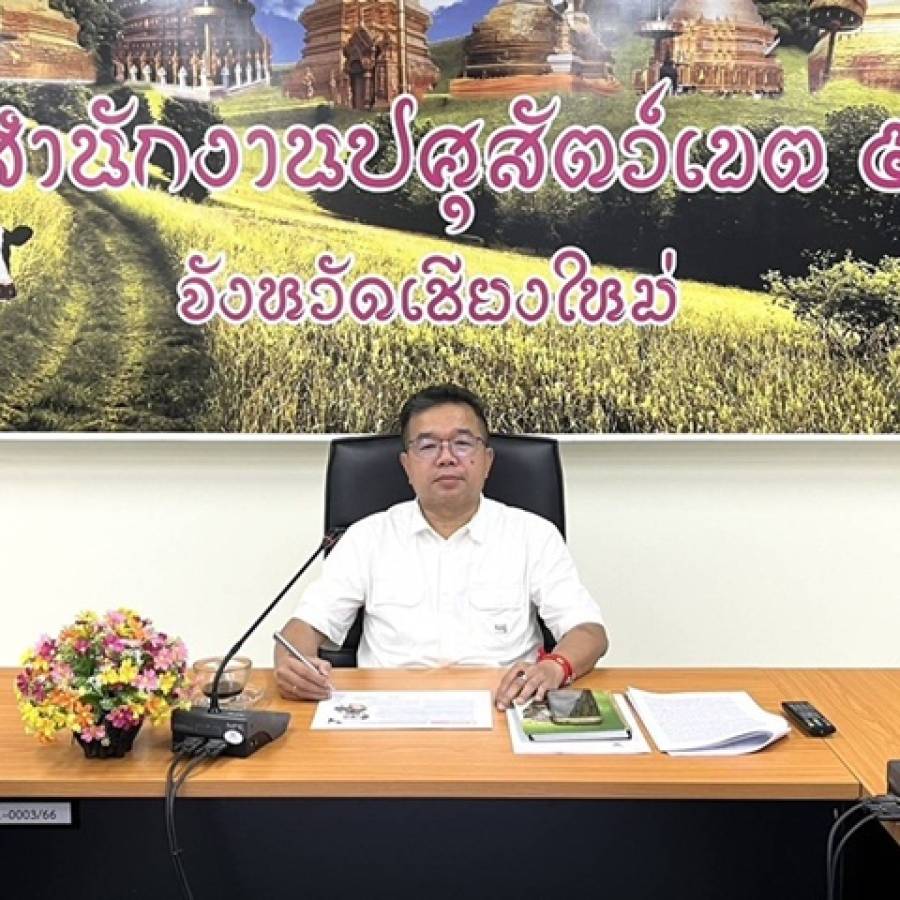 ปศุสัตว์เขต 5 ประชุมหารือแนวทางการส่งเสริมอาชีพการเลี้ยงสัตว์ปีก (ไก่เซี่ยงไฮ้) ของชุมชนบนพื้นที่สูงกับศูนย์พัฒนาราษฎรบนพื้นที่สูงจังหวัดเชียงใหม่ กรมพัฒนาสังคมและสวัสดิการ กระทรวงการพัฒนาสังคมและความมั่นคงของมนุษย์