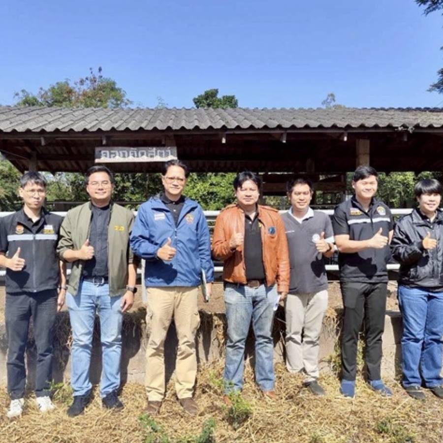 ปศุสัตว์เขต 5 ต่ออายุฟาร์มปลอดโรควัณโรค และโรคบรูเซลลา ระดับ A ในโคเนื้อ ศูนย์วิจัยและบำรุงพันธุ์สัตว์แพร่