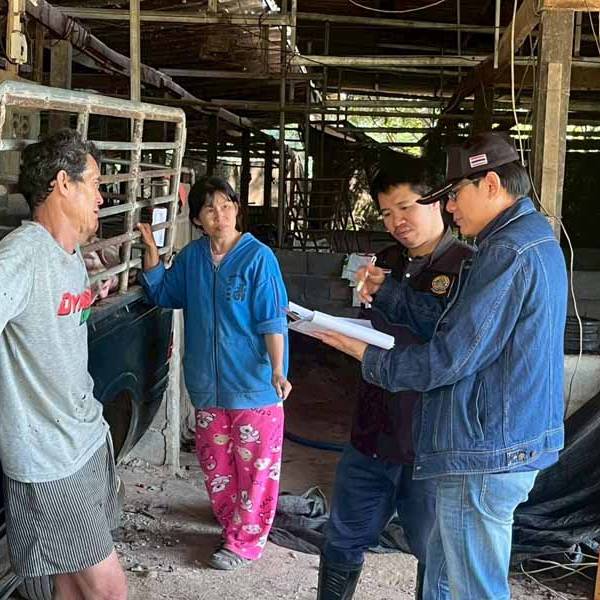 กิจกรรมเครือข่ายสัตว์พันธุ์ดีกรมปศุสัตว์