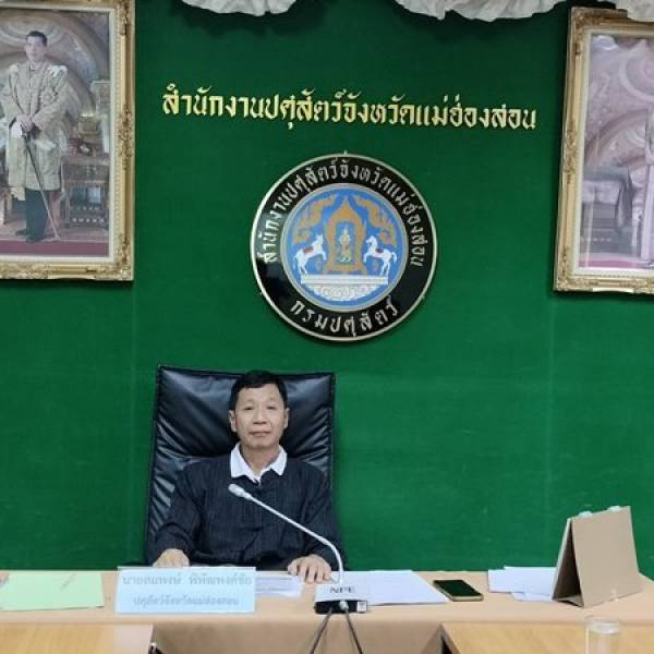 ปศุสัตว์แม่ฮ่องสอน ประชุมคณะกรรมการขับเคลื่อนนโยบายของกรมปศุสัตว์ (DLD Co–ordinator : DLD–C) ครั้งที่ 1/2569
