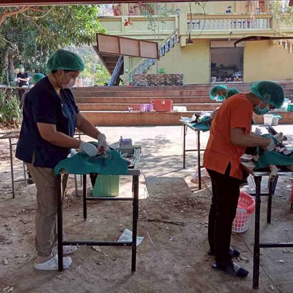 สำนักงานปศุสัตว์จังหวัดลำพูน ปฏิบัติงานควบคุมประชากรสุนัขและแมว ป้องกันโรคพิษสุนัขบ้า ภายใต้โครงการ DLD-C