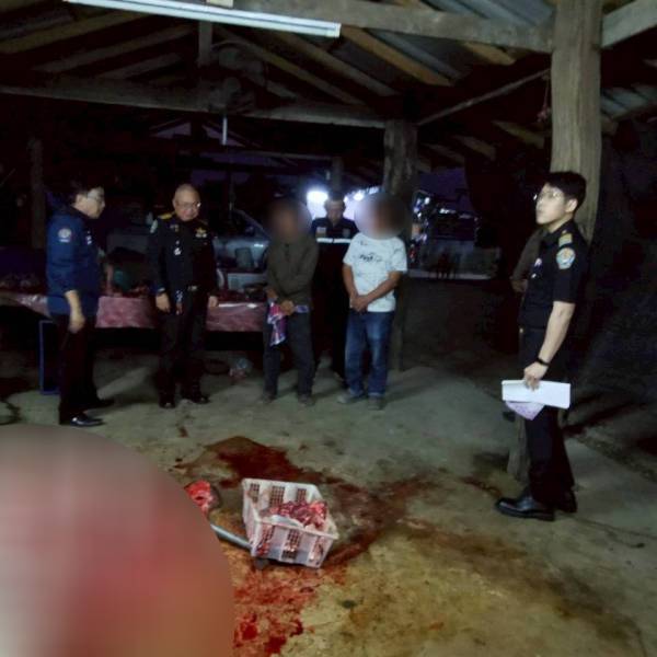 สำนักงานปศุสัตว์จังหวัดเชียงใหม่ บูรณาการร่วมกับหน่วยงานที่เกี่่ยวข้อง เพื่อดำเนินการจับกุมโรงฆ่าสัตว์เถื่อน