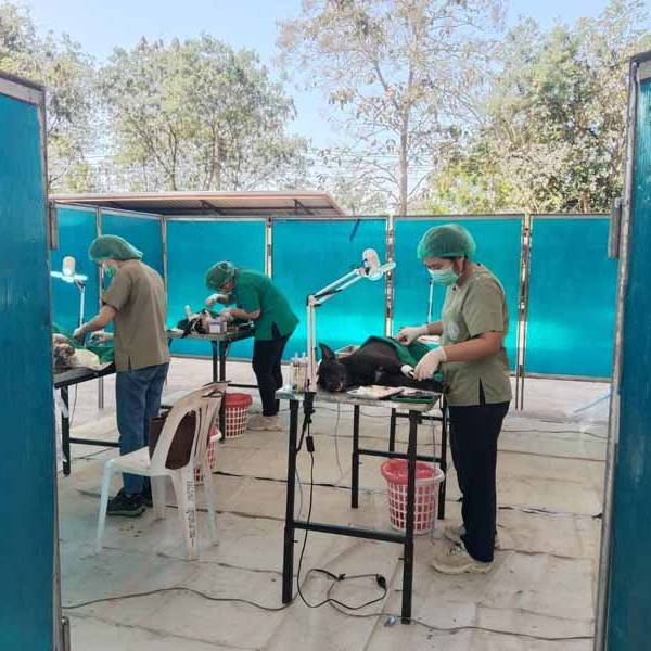 สำนักงานปศุสัตว์จังหวัดลำพูน ผนึกกำลังอปท. ผ่านโครงการ DLD-C และอบรมเจ้าหน้าที่เทศบาล  อาสาปศุสัตว์  มุ่งสร้างพื้คมนที่ปลอดโรคพิษสุนัขบ้าอย่างยั่งยืน คืนความสุขให้ประชาชน