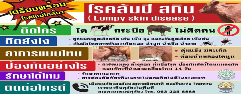 การเฝ้าระวังการเกิดโรคลัมปี สกิน (Lumpy skin disease)