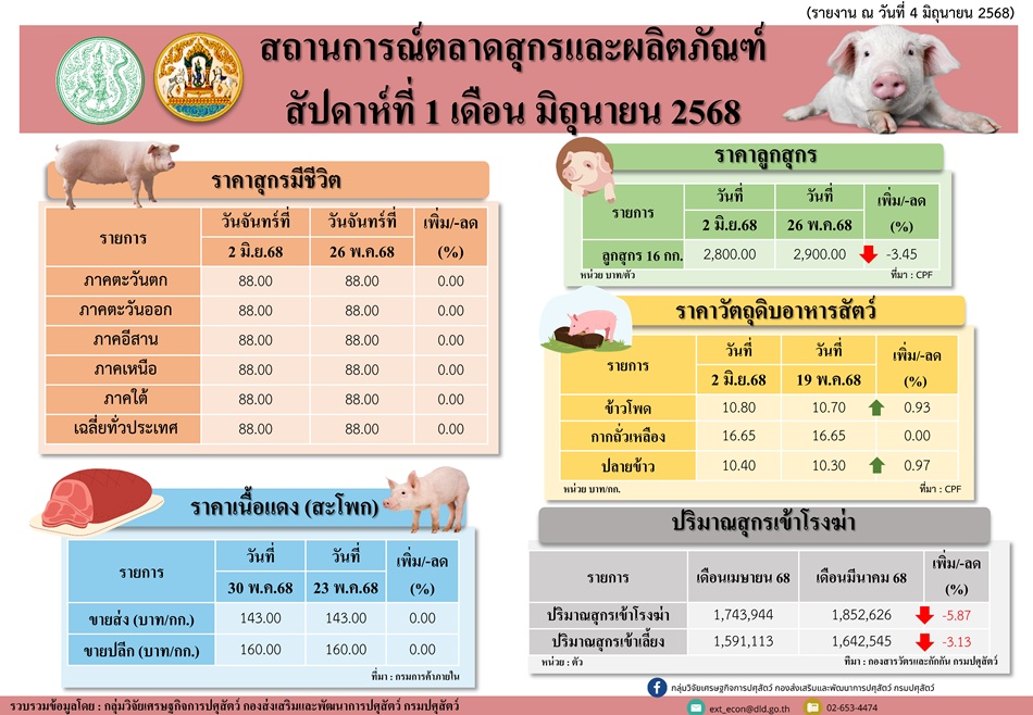 infoprice256803 2pig