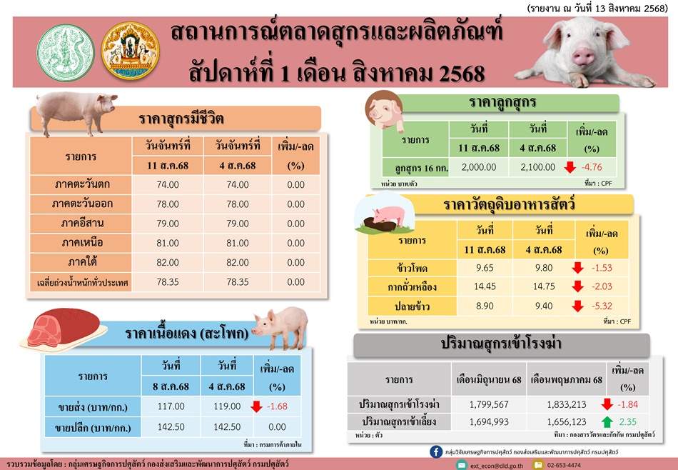 infoprice256803 5pig